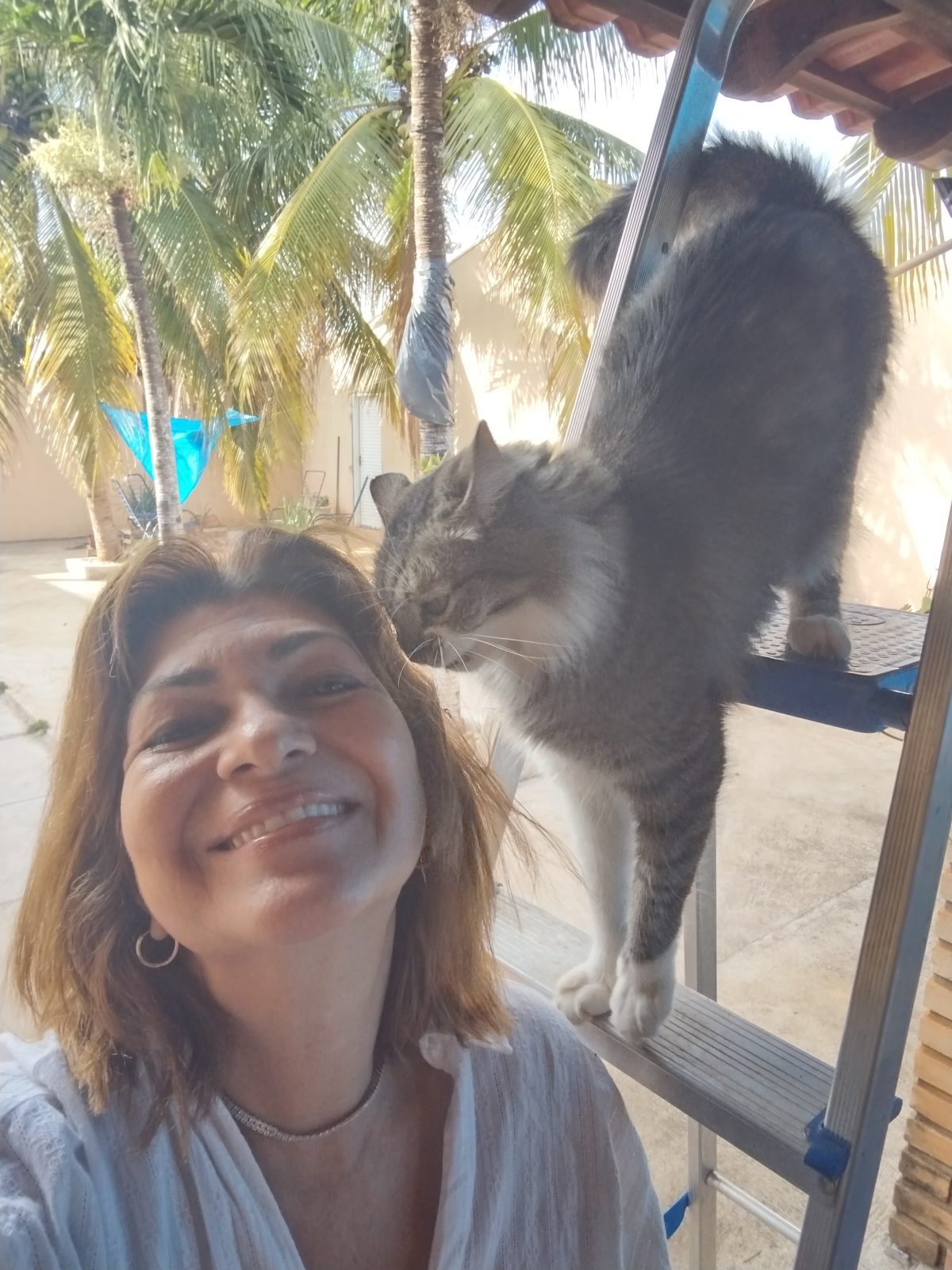 Márcia